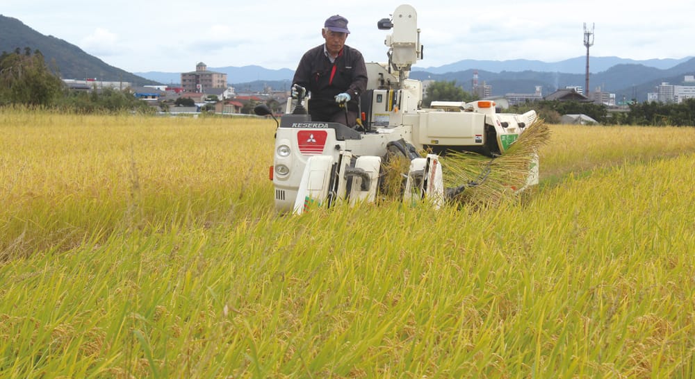 お米｜特製やわらかからあげ味工房